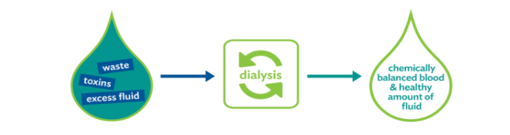 How does dialysis work?